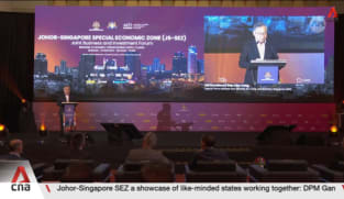 Johor-Singapore Special Economic Zone important and timely: Gan Kim Yong