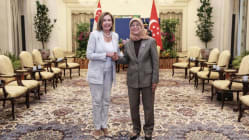 Related article image