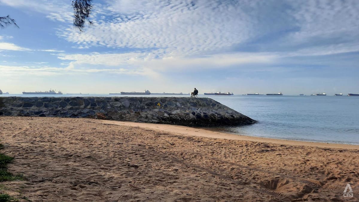 New Bill to require landowners on Singapore's coast to put up, upgrade defences against rising sea levels