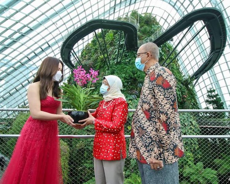 Catch performances by local stars at the Gardens by the Bay and Mediacorp National Day concert