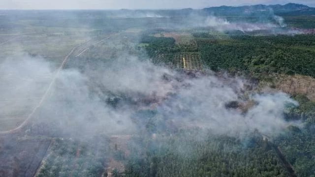 柔佛一周发生395起火患 四严峻地区仍在灌救