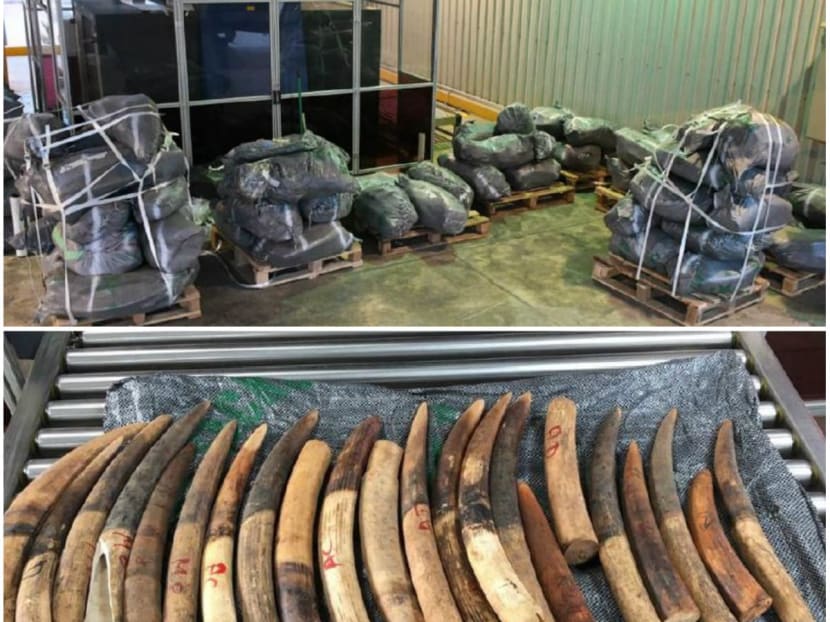 The 61 bags of elephant ivory that were detected and seized at the Pasir Panjang Scanning Station on Monday (March 5). Photos: ICA, AVA The 61 bags of elephant ivory that were detected and seized at the Pasir Panjang Scanning Station on Monday (March 5). Photos: ICA, AVA