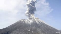 Related article image