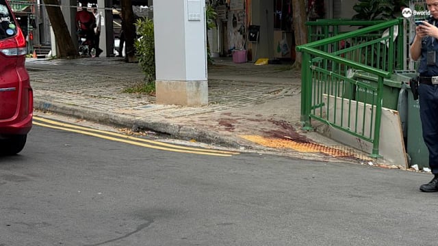 48岁男子涉芽笼伤人被捕 70岁老翁昏迷送院