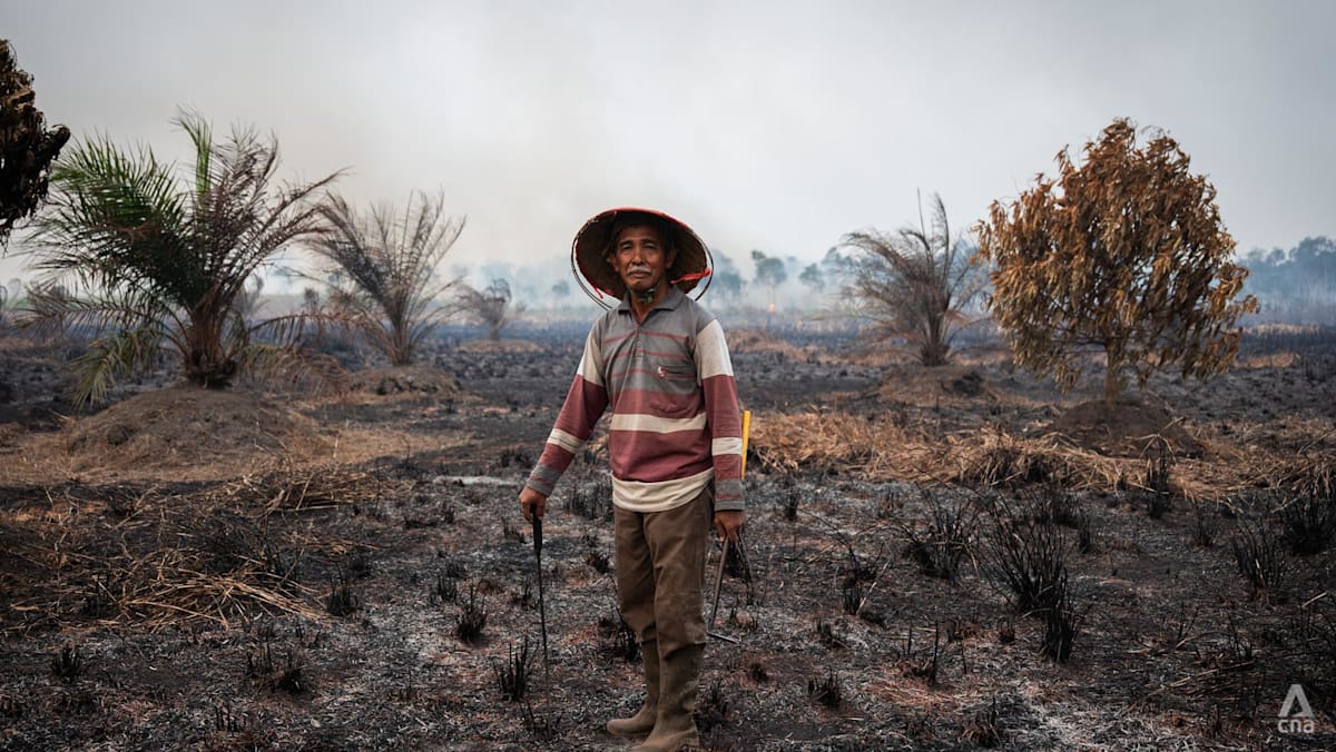 ‘Fire after fire’: What Sumatra reveals about Indonesia’s recurring haze problem - CNA