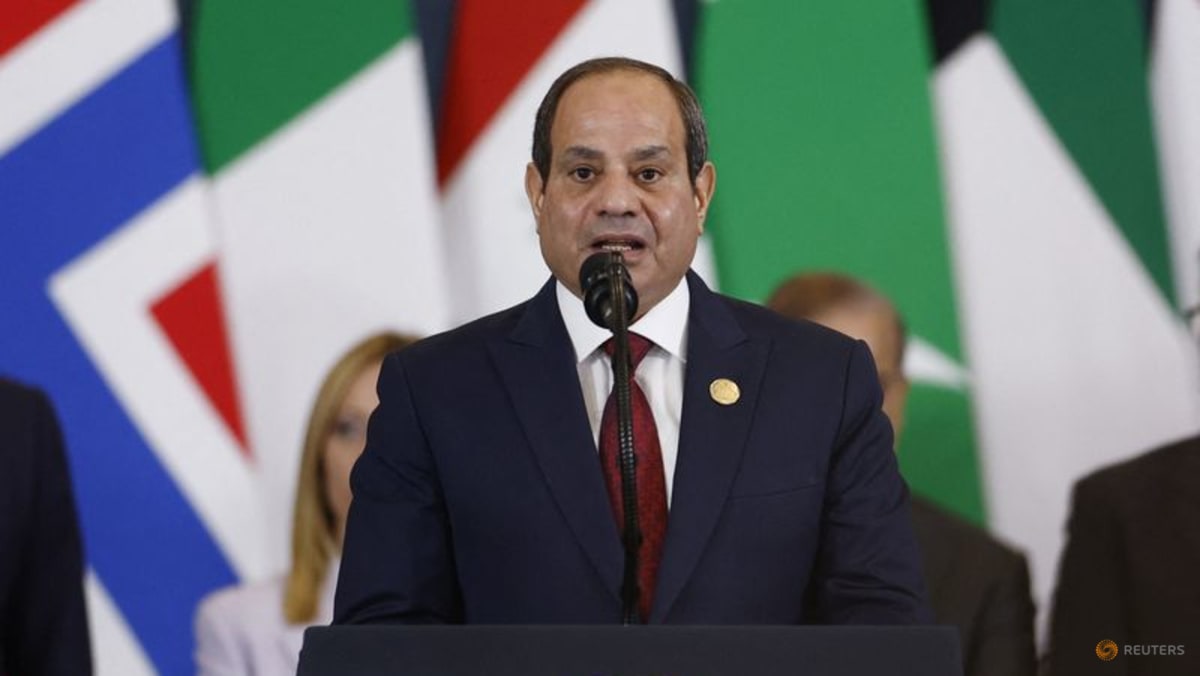 Egypt says shares 'identical' positions with Saudi Arabia on Yemen, Sudan