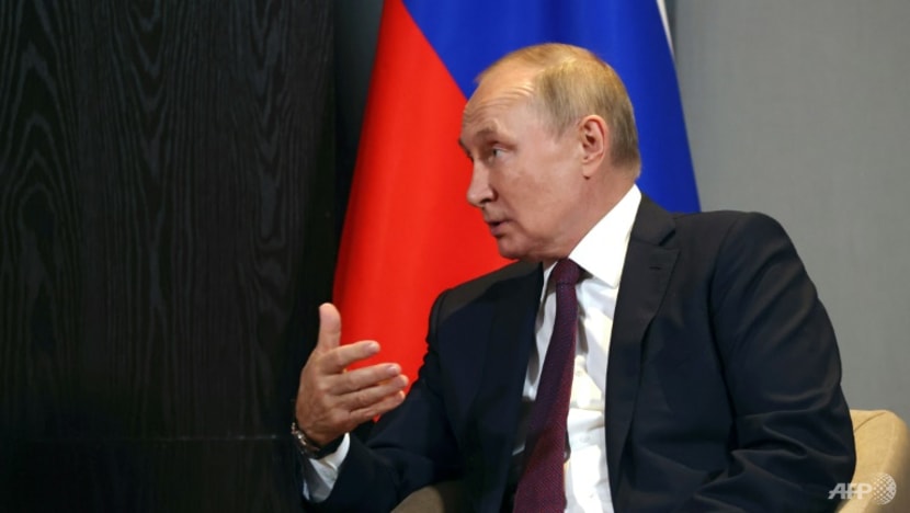 Russia mobilisation a 'sign of weakness': US ambassador in Ukraine Russia mobilisation a 'sign of weakness': US ambassador in Ukraine