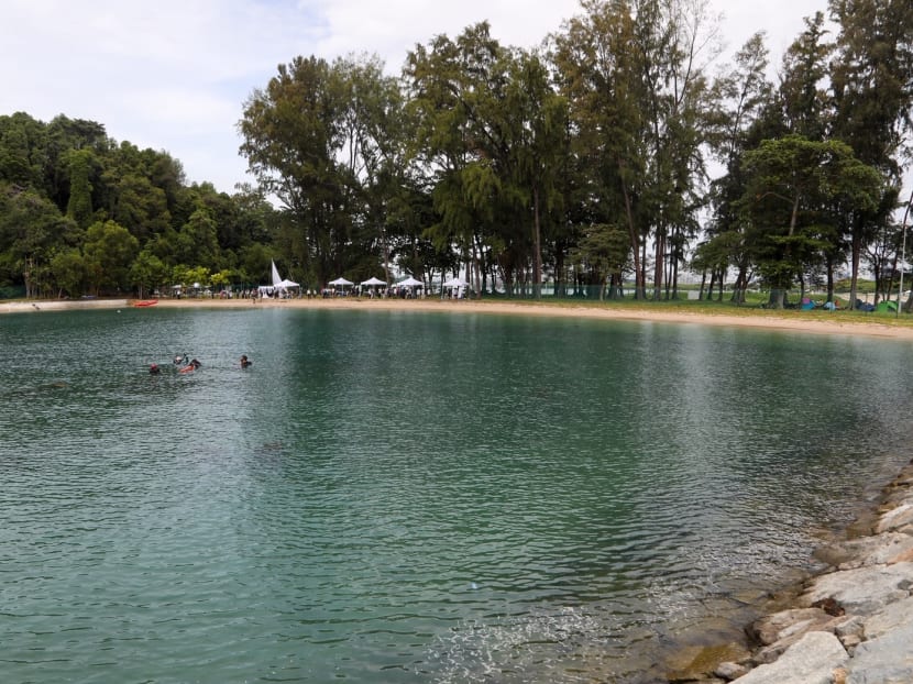 Bendera Bay on Dec 13, 2020. It has a variety of mangrove, coral, seagrass, sandy shore and rocky shore habitats, and is currently inaccessible to the public.
