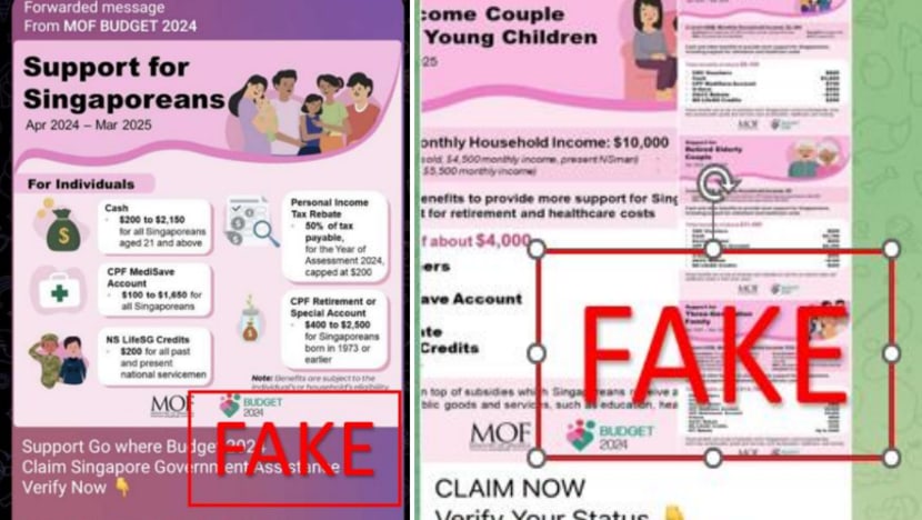 Police warn of phishing scam involving fake Budget 2024 infographics on Telegram