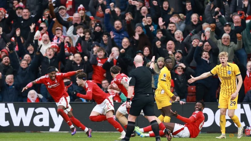 Fantastic Forest thrash Brighton 7-0 helped by Wood hat-trick Fantastic Forest thrash Brighton 7-0 helped by Wood hat-trick