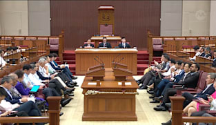 Seah Kian Peng on expenditure and development estimates