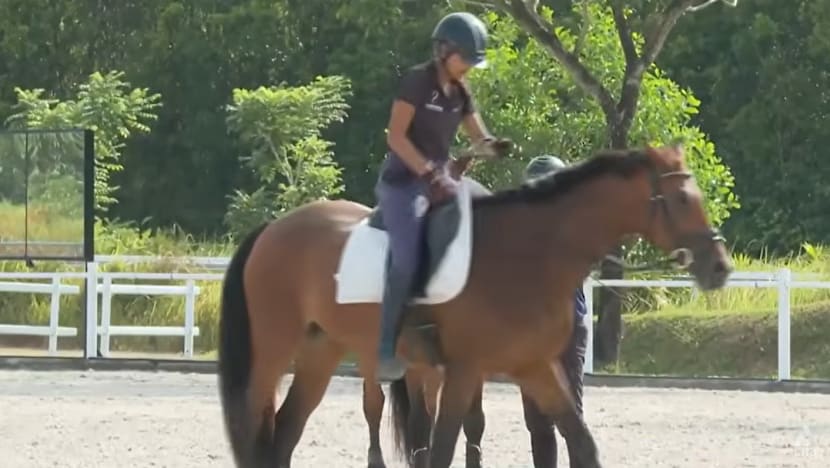 Demand for horse riding classes on the rise, but space constraints pose challenge