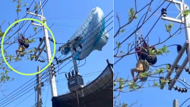 滑翔伞玩家坠高压电杆 致泰国岛屿全岛停电