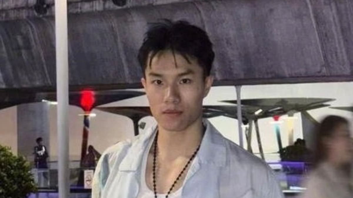 王星事件重演:中国男模赴泰国工作失联,原来被骗到缅甸!姐姐公开求助获救 - vibes by 8world