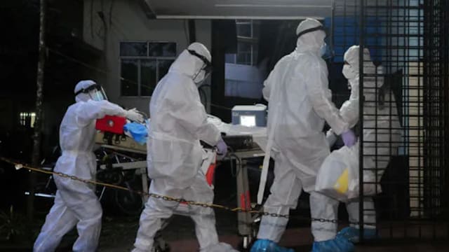 印度出现立百病毒病例 台湾当局呼吁勿食用来路不明水果