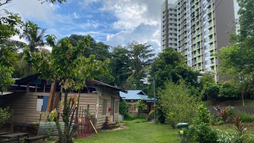 Kampung Lorong Buangkok bukti pelancongan nostalgia laris di tengah COVID-19