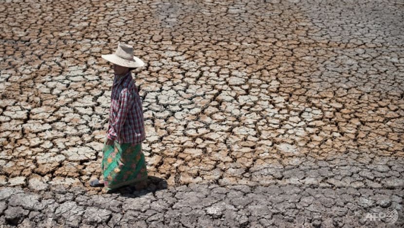 Singapore’s imports of Thai rice 'easily met' by alternative sources but climate change could affect food security Singapore’s imports of Thai rice 'easily met' by alternative sources but climate change could affect food security