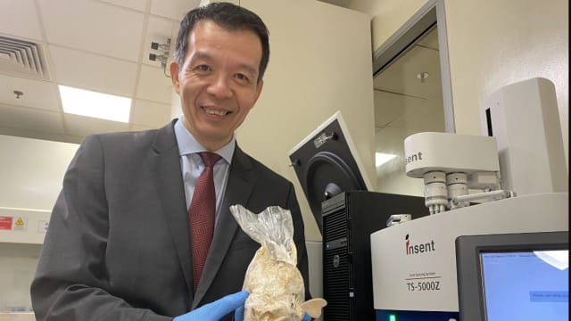 本地研发新植物肉 口感好营养价值也更高