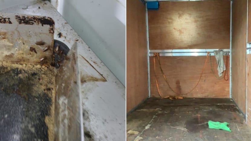 Bakery firm iBread gets S$7,000 fine for 'massive' cockroach infestation, other hygiene lapses 