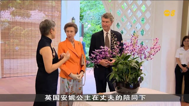 英国安妮公主首次到访我国 将会见尚达曼总统