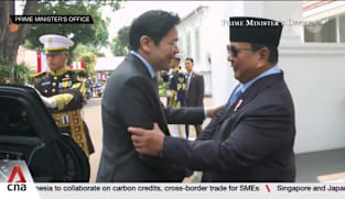 Singapore-Indonesia ties: New pacts signed on carbon credits, trade and supply chain resilience 