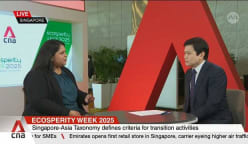 Singapore targets core sectors to lead in sustainable finance: SSFA 