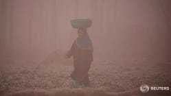 Related article image