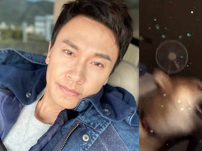 The actor says his Shiba Inu started exhibiting aggressive behaviour after recovering from parvovirus.