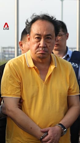 Lawyer Lim Tean arrested after being handed over by Malaysian authorities