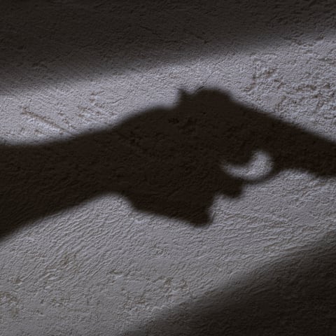 柔佛动物园附近发生警员开枪事件 一人受伤