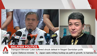 Malaysia politics: Anthony Loke resigns as Negeri Sembilan Democratic Action Party chairman 