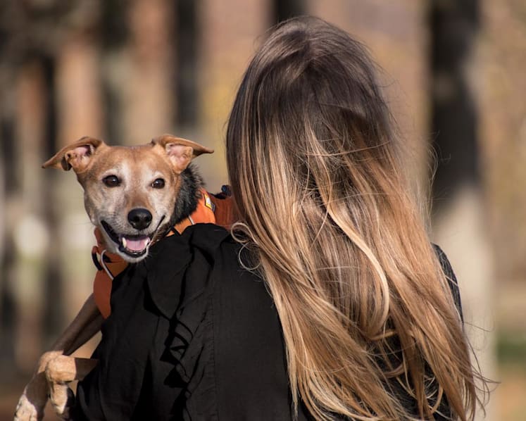 Are S'pore's pandemic pet owners ready for the responsibility?