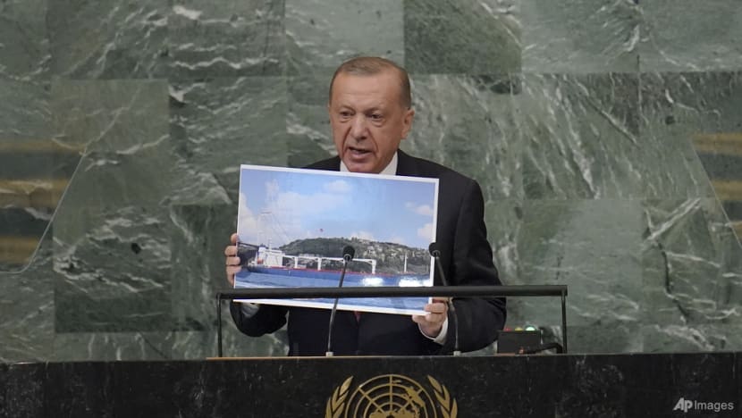 Turkish leader to United Nations: Be 'much more influential'