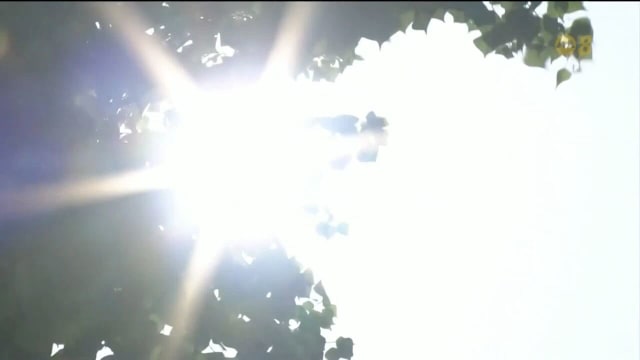 日本持续被高温炙烤 多地区最高气温升至35摄氏度以上