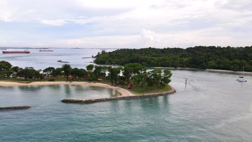Singapore unveils plans to designate second marine park at Lazarus South, Kusu Reef Singapore unveils plans to designate second marine park at Lazarus South, Kusu Reef