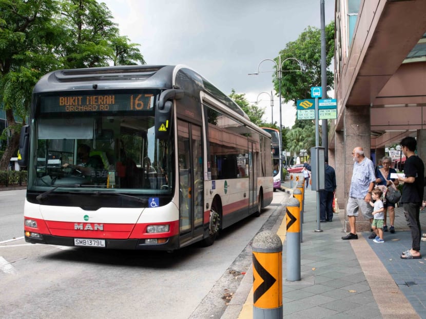 Bus service 167 at a stop on Orchard Road on Nov 20, 2023.