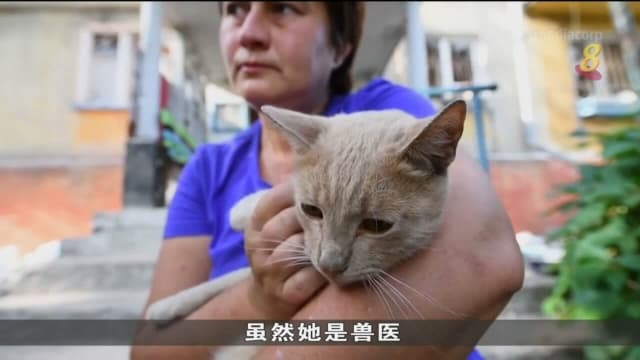 不少宠物因俄乌战争无家可归 乌兽医冒险救小动物