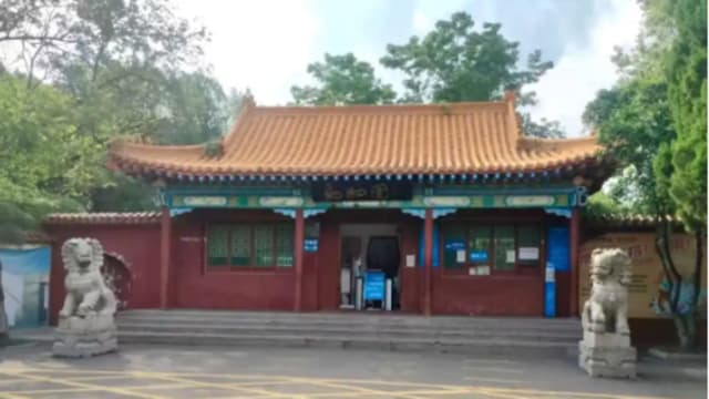 用个人码收门票款多年 中国河南一动物园被举报  
