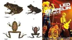 Related article image