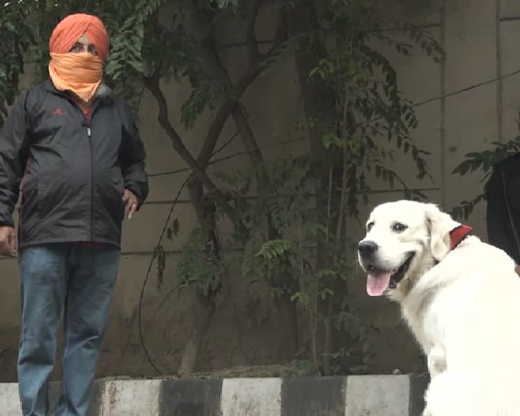 India’s pandemic pet boom just the start of rapid industry growth, say analysts
