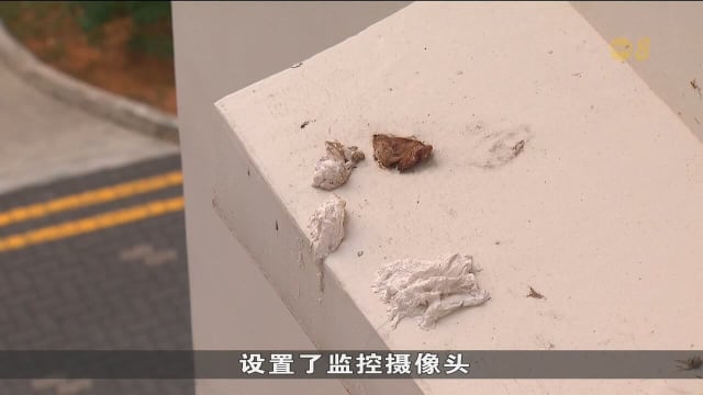 口试练习：用人工智能应对高楼抛物问题