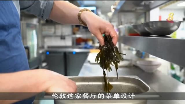 英国餐厅用可持续性食材 减少食物垃圾保护环境
