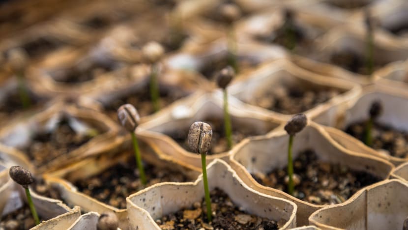 Invest in firms with good environmental and social practices for better returns