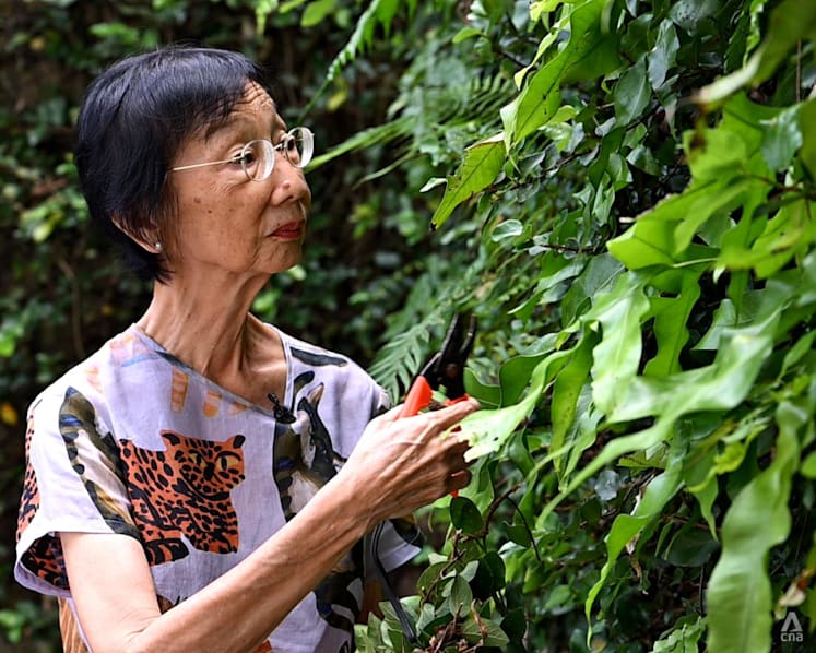 Never Too Old: Meet the 77-year-old preschool founder who still takes parents on school tours