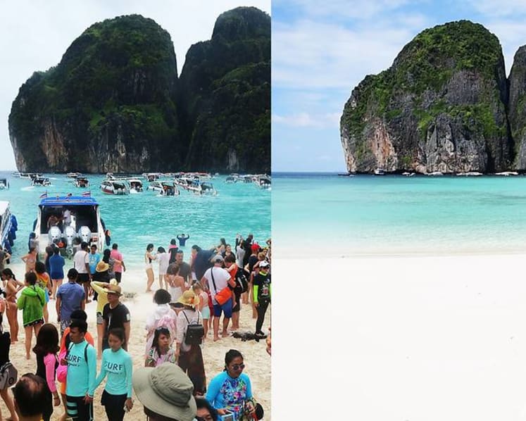 Sharks return to Thailand’s famous Maya Bay after tourist ban