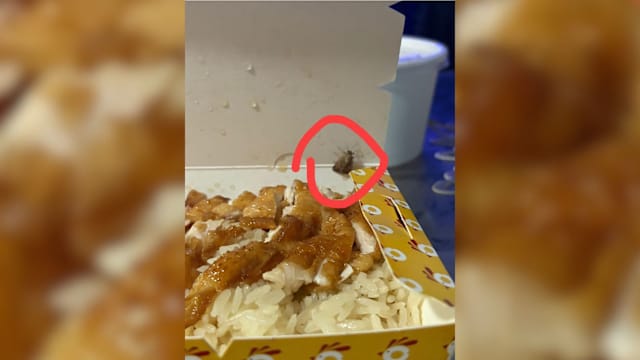 外卖餐被指藏“小强”引关注 义顺鸡饭摊发视频力证干净