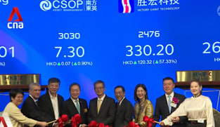Shares of Victory Giant jump in Hong Kong debut 