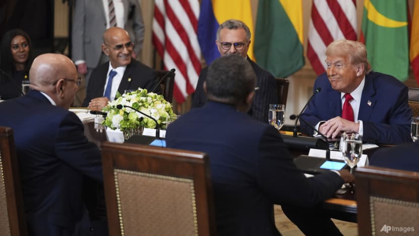 Trump eyes African mineral wealth in trade-focused summit