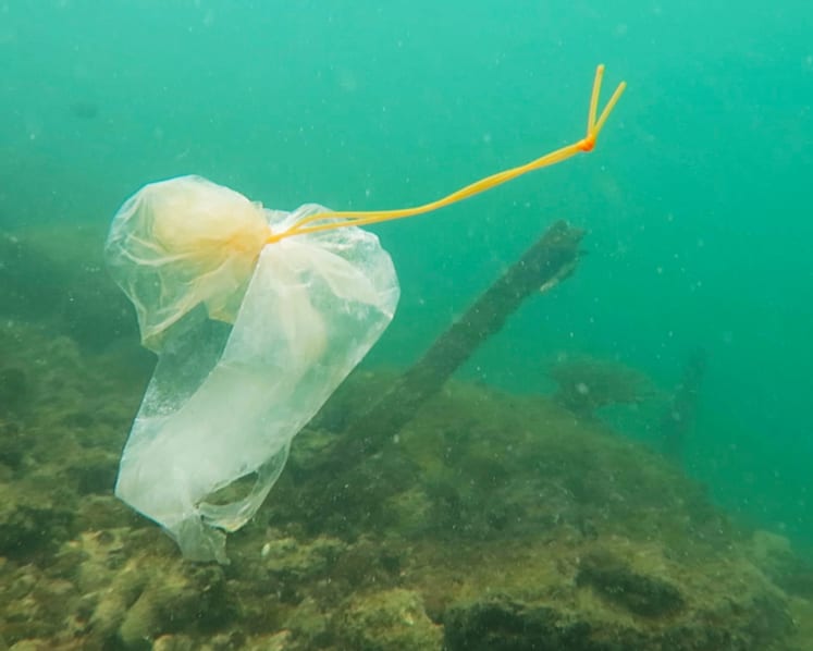 Trash Talk: Packaging waste is everywhere, including in your body