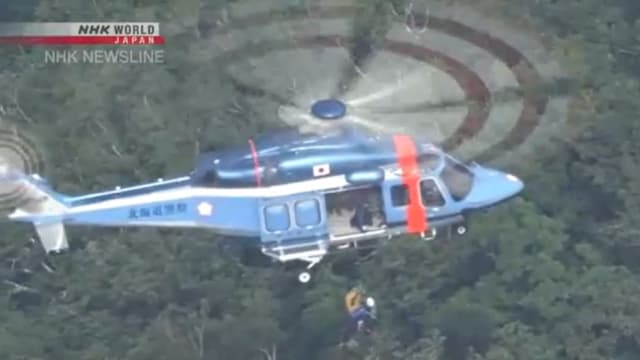北海道罗臼岳传棕熊出没 一名登山客疑遭攻击失踪